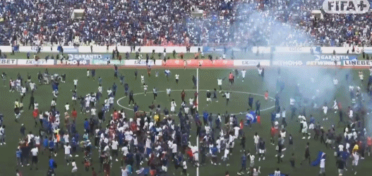 禁区, 喀麦隆世界, net